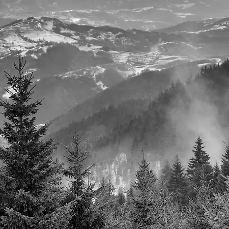 Отель & Zoned Копаоник